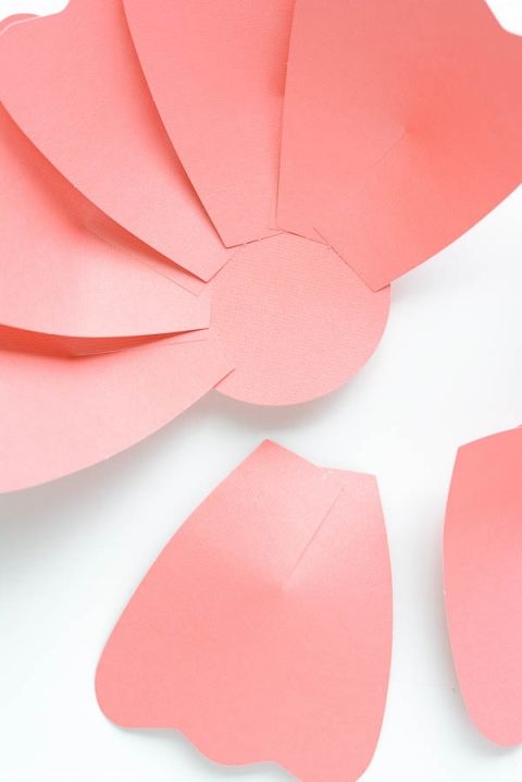Aprende hacer hermosas flores de papel rose!